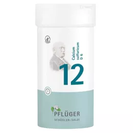 BIOCHEMIE Pflüger 12 Calcium sulphuricum D 6 tablet, 400 kosov