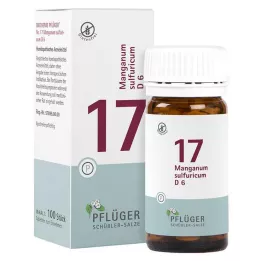 BIOCHEMIE Pflüger 17 Manganum sulphuricum D 6 tablet, 100 kosov