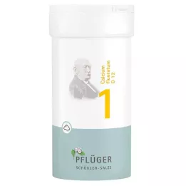 BIOCHEMIE Pflüger 1 Calcium fluoratum D 12 v prahu, 100 g