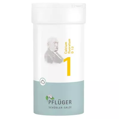 BIOCHEMIE Pflüger 1 Calcium fluoratum D 12 v prahu, 100 g