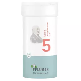 BIOCHEMIE Pflüger 5 Potassium phosphoricum D 6 v prahu, 100 g