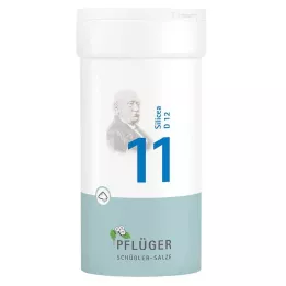 BIOCHEMIE Pflüger 11 Silicea D 12 v prahu, 100 g
