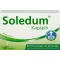 SOLEDUM 100 mg gastrorezistentne kapsule, 100 kosov