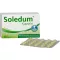 SOLEDUM 100 mg gastrorezistentne kapsule, 100 kosov