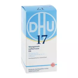 BIOCHEMIE DHU 17 Manganum sulphuricum D 6 tablet, 420 kapsul