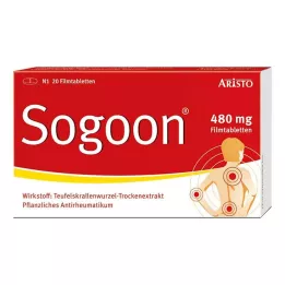 SOGOON 480 mg filmsko obložene tablete, 20 kosov