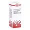 Asterias Rubens D6 razredčitev (20 ml)