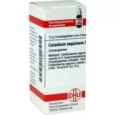 CALADIUM seguinum D 12 kroglic, 10 g