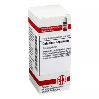 DHU Caladium seguinum D 12 kroglic, 10 g