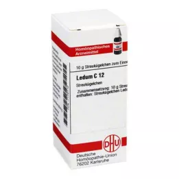 LEDUM C 12 kroglic, 10 g