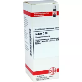 LEDUM Raztopina C 30, 20 ml