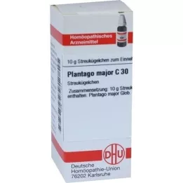 PLANTAGO MAJOR C 30 kroglic, 10 g