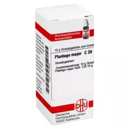 PLANTAGO MAJOR C 30 kroglic, 10 g