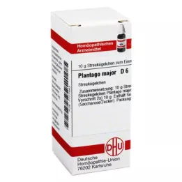 PLANTAGO MAJOR D 6 kroglic, 10 g