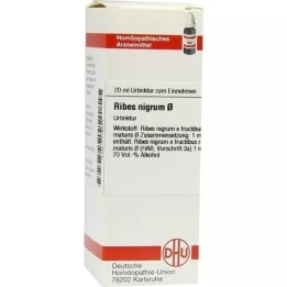 RIBES NIGRUM Matična tinktura, 20 ml