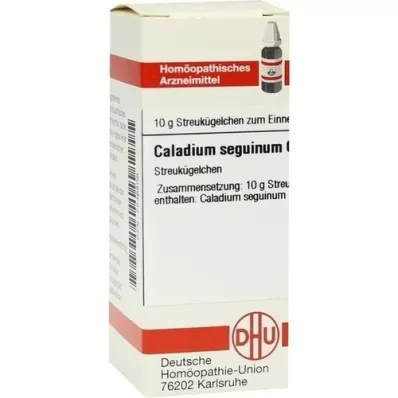 CALADIUM seguinum C 6 kroglic, 10 g