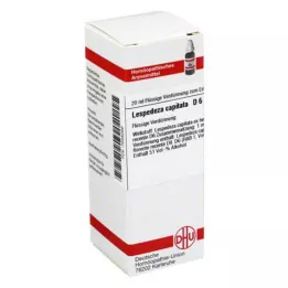 LESPEDEZA CAPITATA Raztopina D 6, 20 ml
