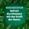 Bronchoforton® mazilo, 100 g