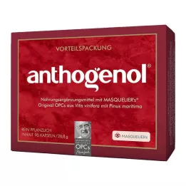 OPC ORIGINAL Masqueliers Anthogenol kapsule, 90 kapsul