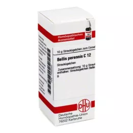 BELLIS PERENNIS C 12 kroglic, 10 g