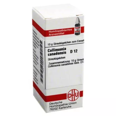 COLLINSONIA CANADENSIS D 12 kroglic, 10 g