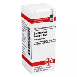 LACHNANTHES tinctoria C 30 kroglic, 10 g