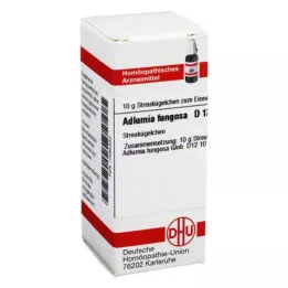 ADLUMIA fungosa D 12 kroglic, 10 g