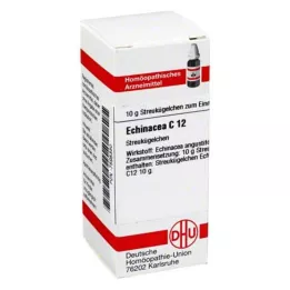 ECHINACEA HAB C 12 kroglic, 10 g