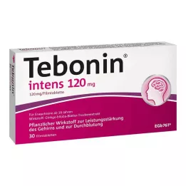 TEBONIN intenzivne 120 mg filmsko obložene tablete, 30 kosov