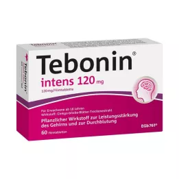 TEBONIN intenzivne 120 mg filmsko obložene tablete, 60 kosov