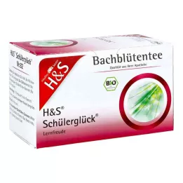 H&amp;S Bachov cvetlični čaj za srečo učencev, 20X3,0 g