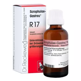 SCROPHULAE-Mešanica Gastreu R17, 50 ml