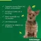 Advantage 100 za pse od 4-10 kg, 4 kosi