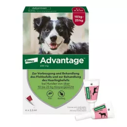 ADVANTAGE 250 raztopina za pse 10-25 kg, 4 kosi