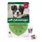 ADVANTAGE 250 raztopina za pse 10-25 kg, 4 kosi
