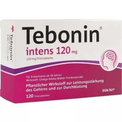 TEBONIN intenzivne 120 mg filmsko obložene tablete, 120 kosov