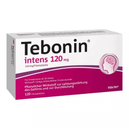 TEBONIN intenzivne 120 mg filmsko obložene tablete, 120 kosov