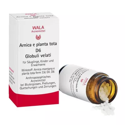 Arnica E Planta tota D 6 globul, 20 g Arnica E Planta tota D 6 globul, 20 g