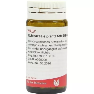 ECHINACEA E planta tota D 6 kroglic, 20 g