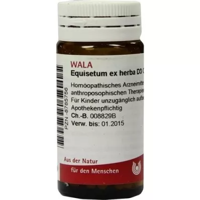 EQUISETUM EX Herba D 3 globule, 20 g