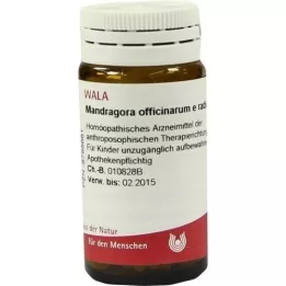 MANDRAGORA OFFICINARIUM e radice D 6 kroglic, 20 g