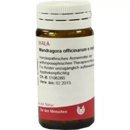 MANDRAGORA OFFICINARIUM e radice D 6 kroglic, 20 g