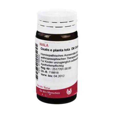 Oxalis E Planta Tota D 6 globul, 20 g