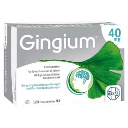 GINGIUM 40 mg filmsko obložene tablete, 120 kosov
