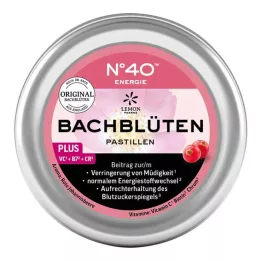 ENERGIE BACHBLÜTENPASTILLEN po Dr. Bachu 50 g