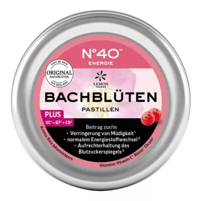 ENERGIE BACHBLÜTENPASTILLEN po Dr. Bachu 50 g ENERGIE BACHBLÜTENPASTILLEN po Dr. Bachu 50 g