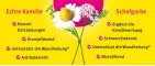 Instructions for use for Kamillan® tekočina, 10 ml - 2