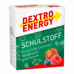 DEXTRO ENERGY tableta Schulstoff gozdni sadeži, 50 g