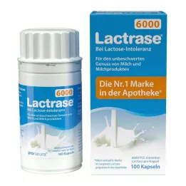 LACTRASE 6.000 FCC Kapsule, 100 kosov