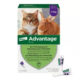 ADVANTAGE 80 mg za velike mačke in velike okrasne kunce, 4X0,8 ml